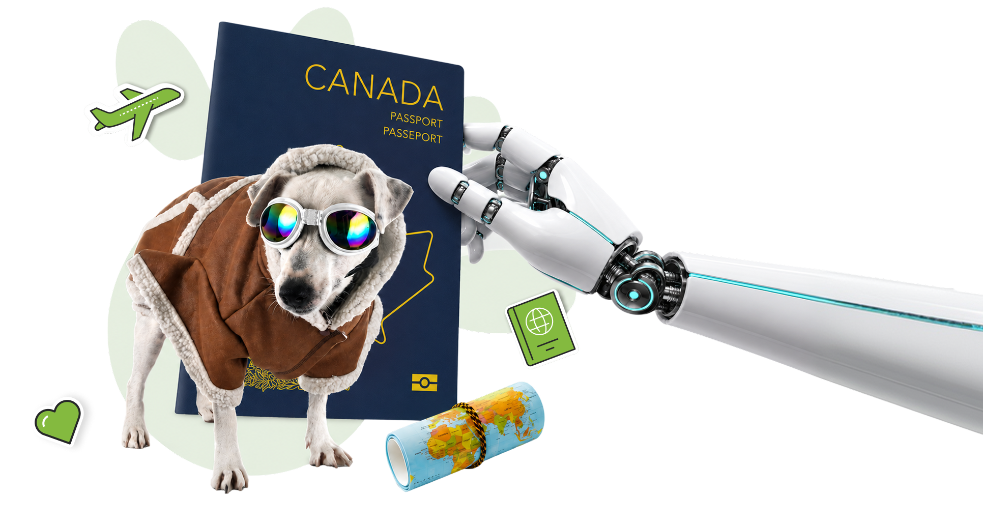 8. Une aide pour le passeport de l’animal