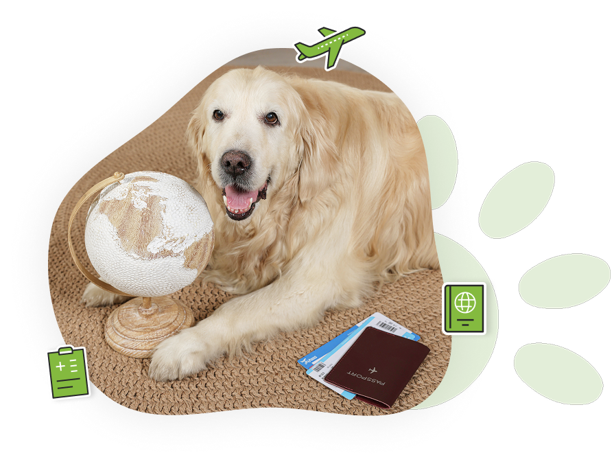 Un passeport numérique pour préparer les voyages de votre animal