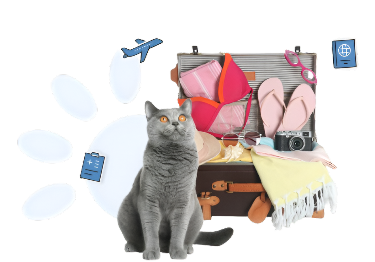3. Ajout des informations de voyage