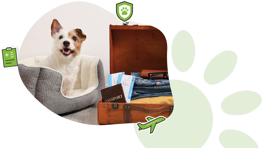 8. Un dossier pratique pour voyager plus sereinement
