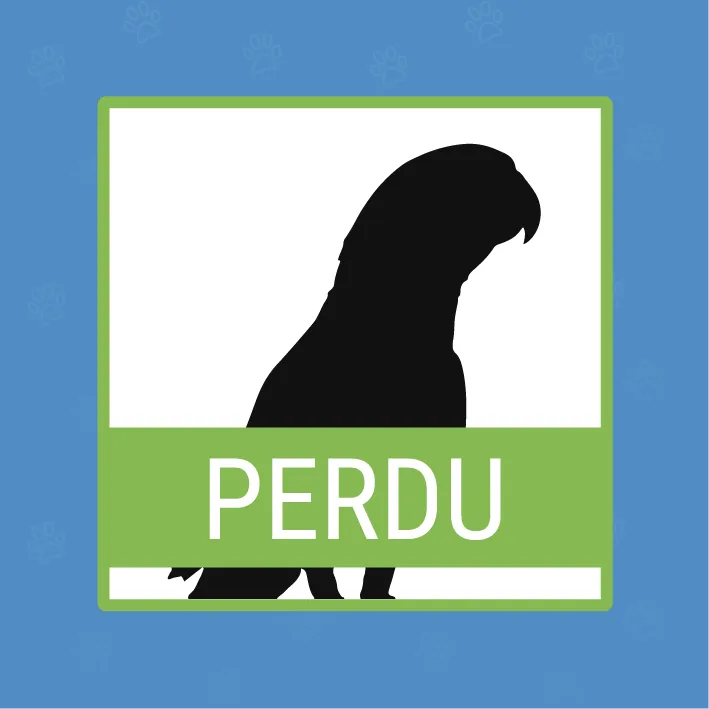 Pet 1 of collins.caroline