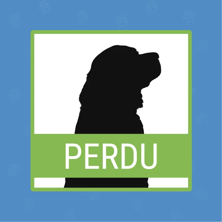 Pet 1 of lrunolfsson