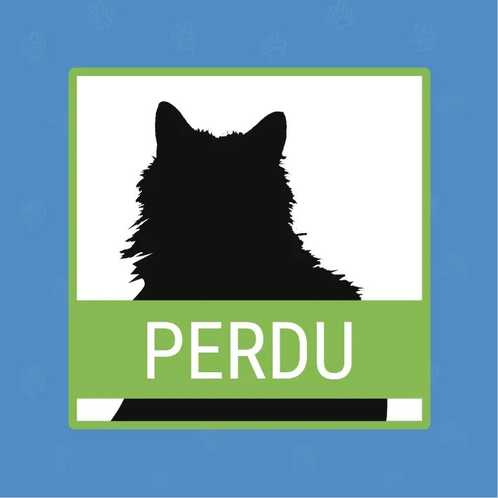 Pet 1 of hirthe.shad