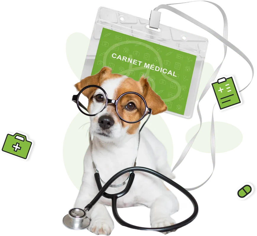 Carnet médical