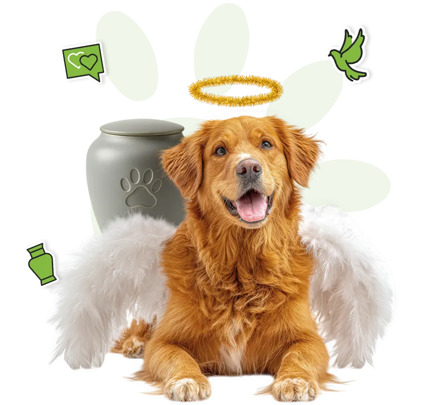 Espace hommage en mémoire de votre compagnon