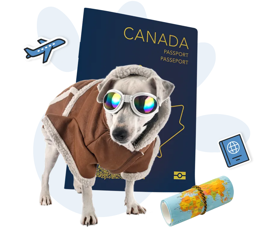 Passeport numérique