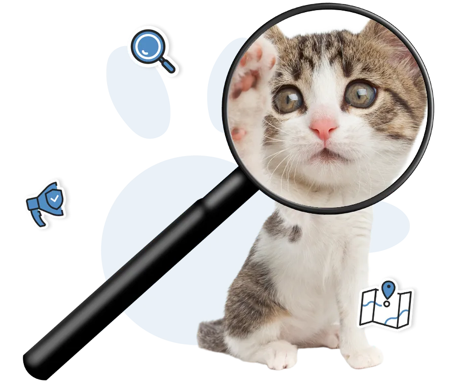 Recherches d’animaux perdus