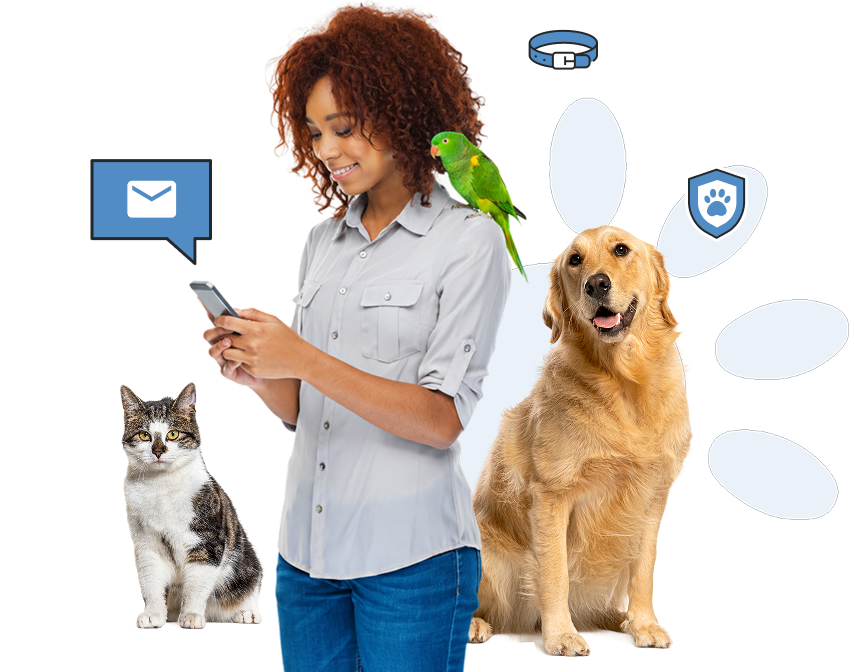 Saisie d’animaux centralisée