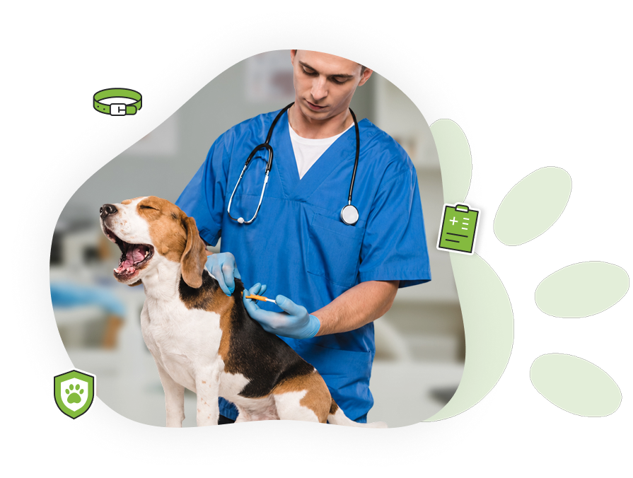 Recherche de micropuce rapide et sécurisée