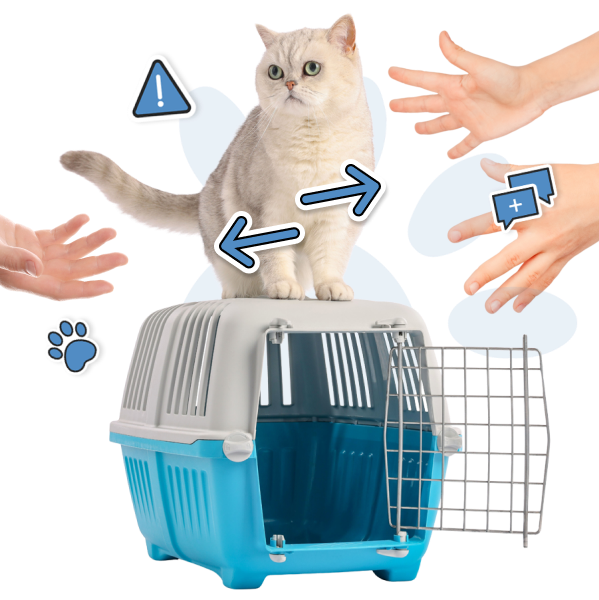 Vous devez transférer un animal ?