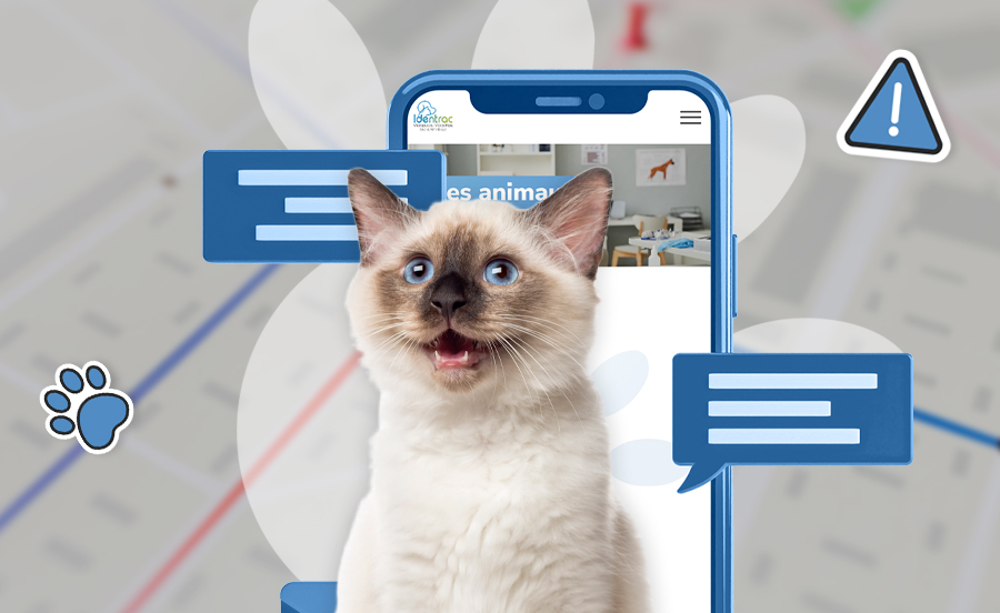 Numérisation de la micro-puce : Alerte instantanée