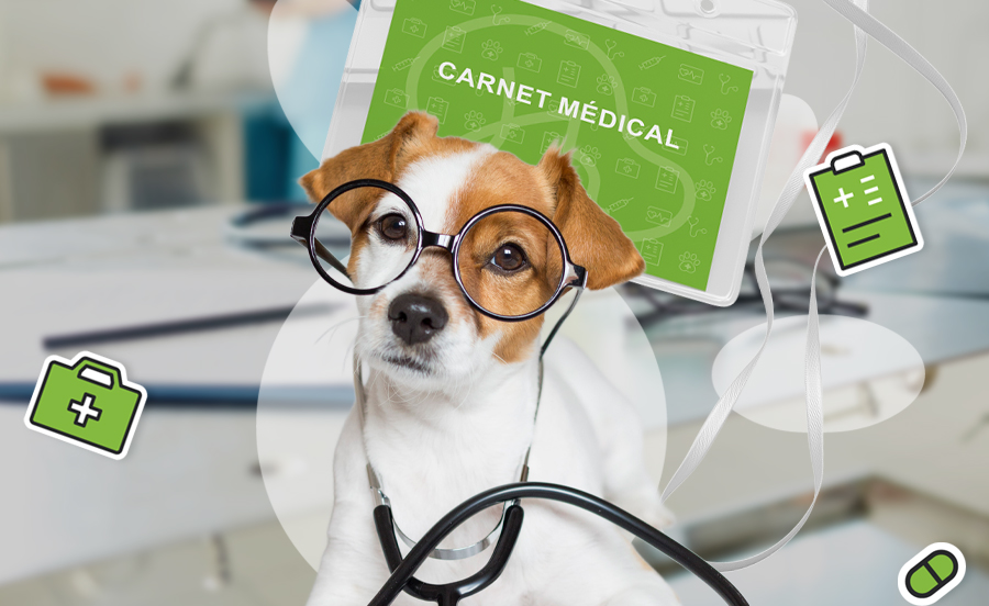 Carnet médical