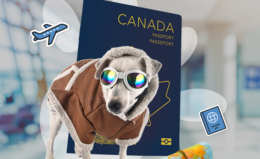 Passeport numérique