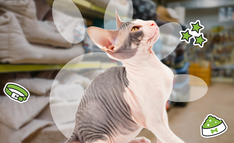 Répertoire professionnel