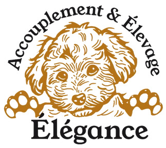 ACCOUPLEMENT & ÉLEVAGE ÉLÉGANCE